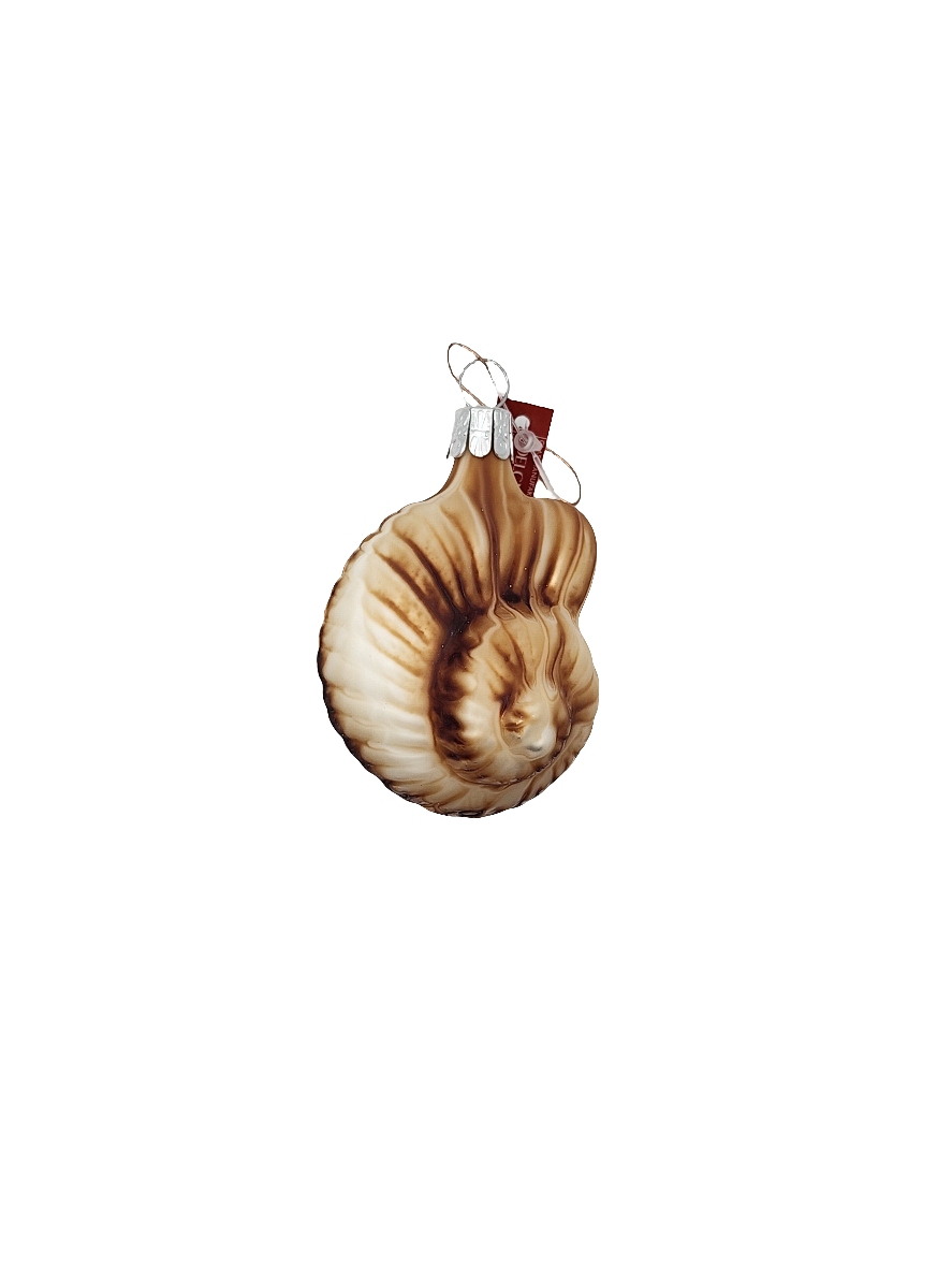 European Glass Christmas ornament of a Shell Spiral (C)