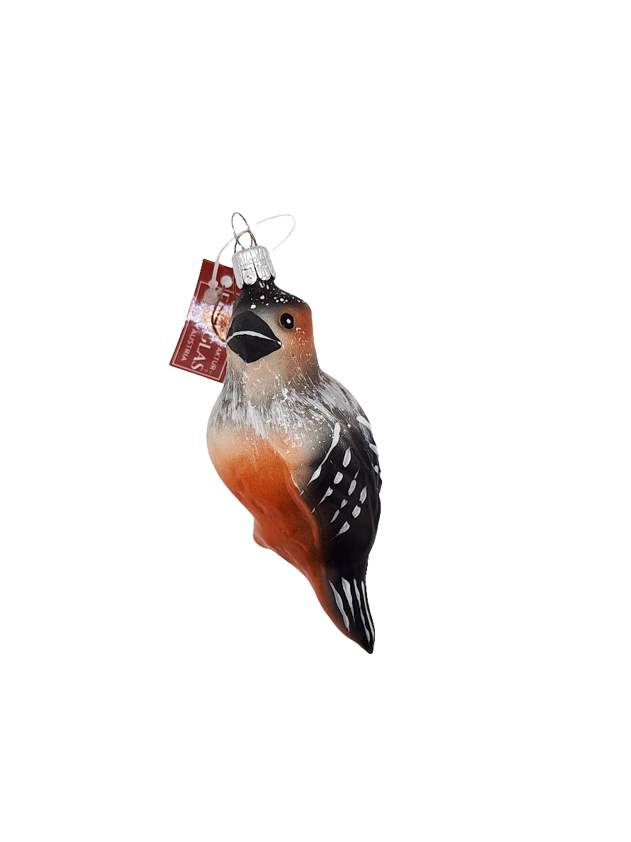 European Glass Christmas ornament of a Bird (J)