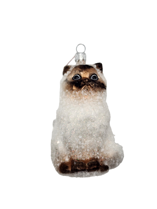 European Glass Christmas ornament of a Cat | Large Frosted Persian Ragdoll (T)