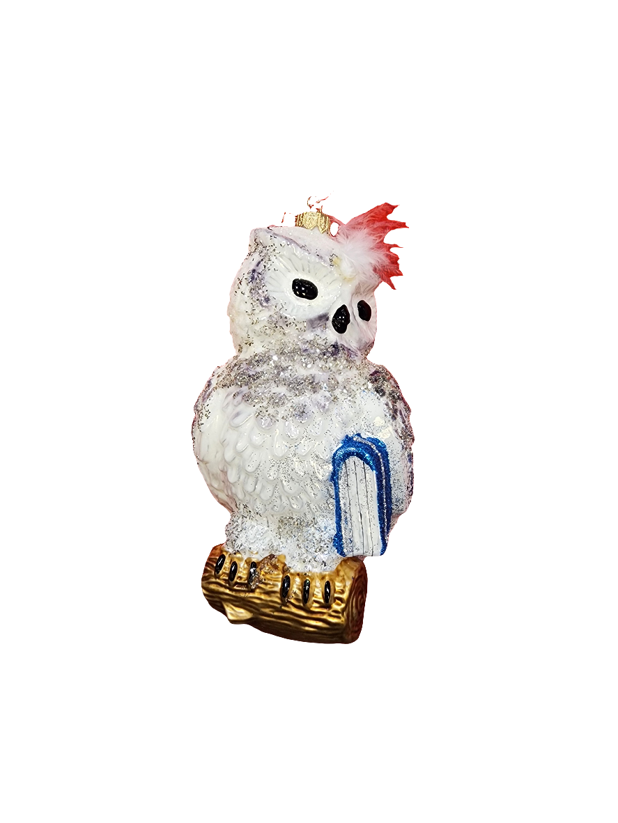 European Glass Christmas ornament of a Owl Large on Branch with Book (V)