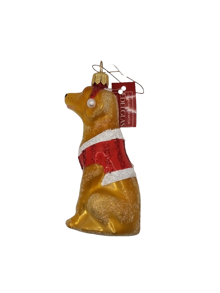 European Glass Christmas ornament of a Dog Golden Labrador Christmas Jacket (R)