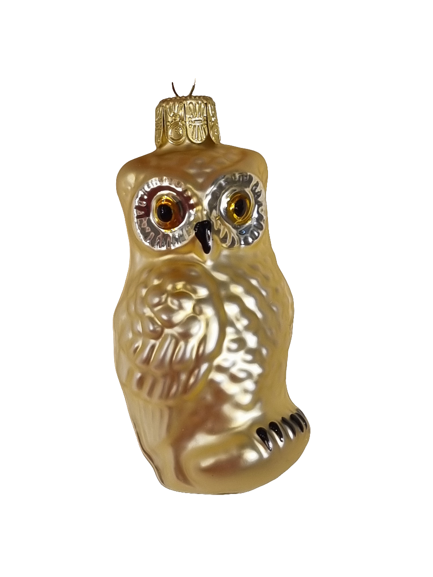 European Glass Christmas ornament of a Owl | Assorted Colours (E)