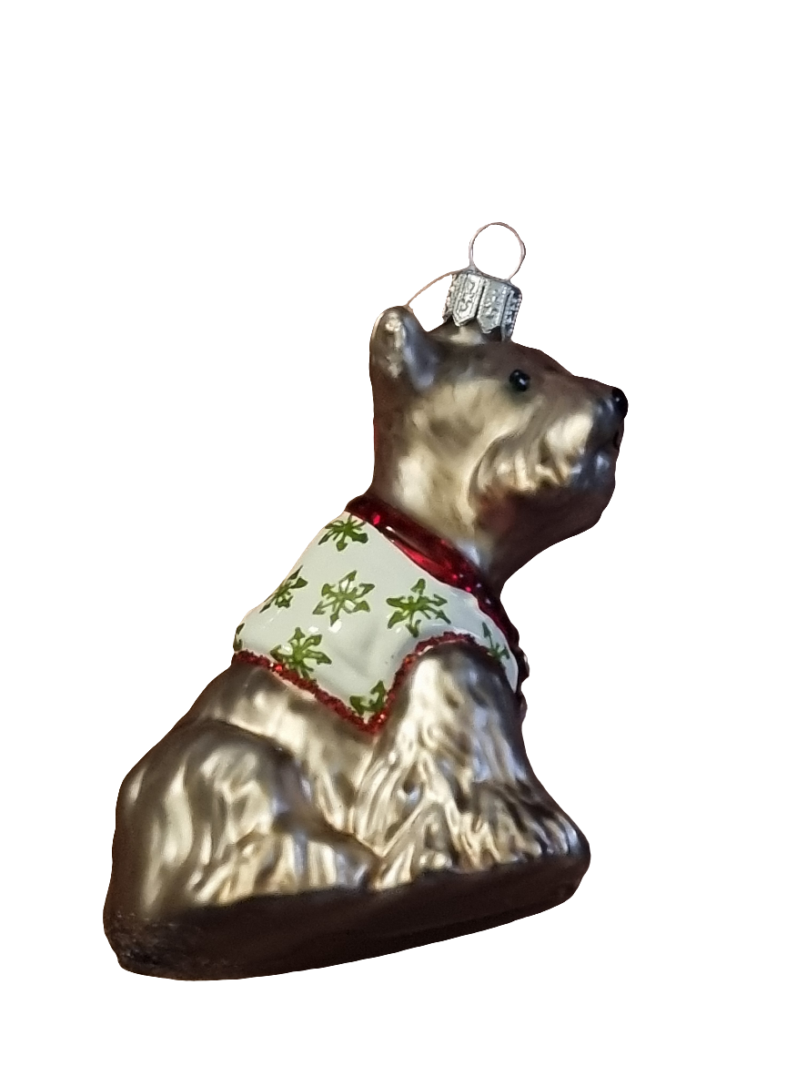 European Glass Christmas ornament of a Dog Terrier in Jacket (R)