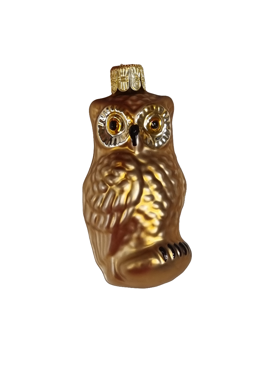 European Glass Christmas ornament of a Owl | Assorted Colours (E)