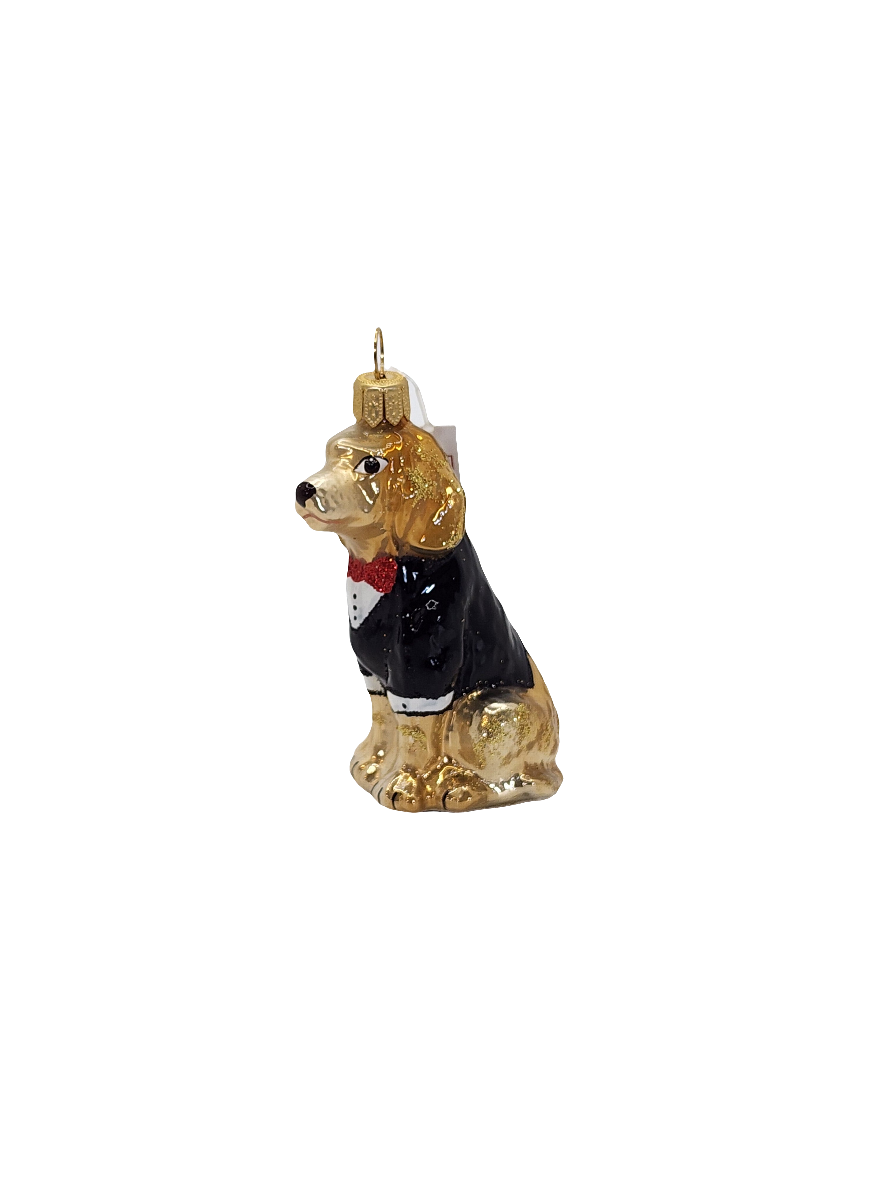 European Glass Christmas ornament of a Dog Tuxedo (S)