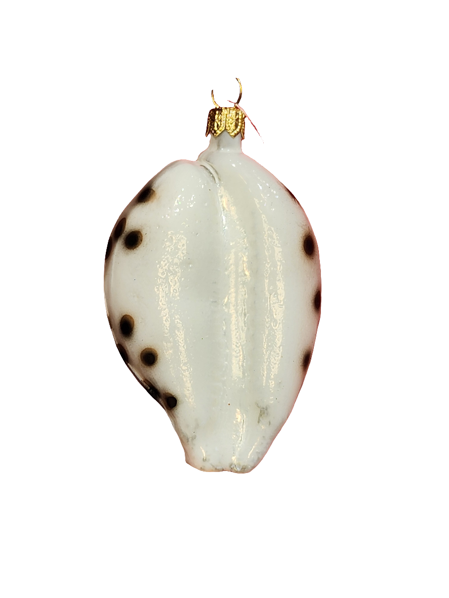 European Glass Christmas ornament of a Shell (P)