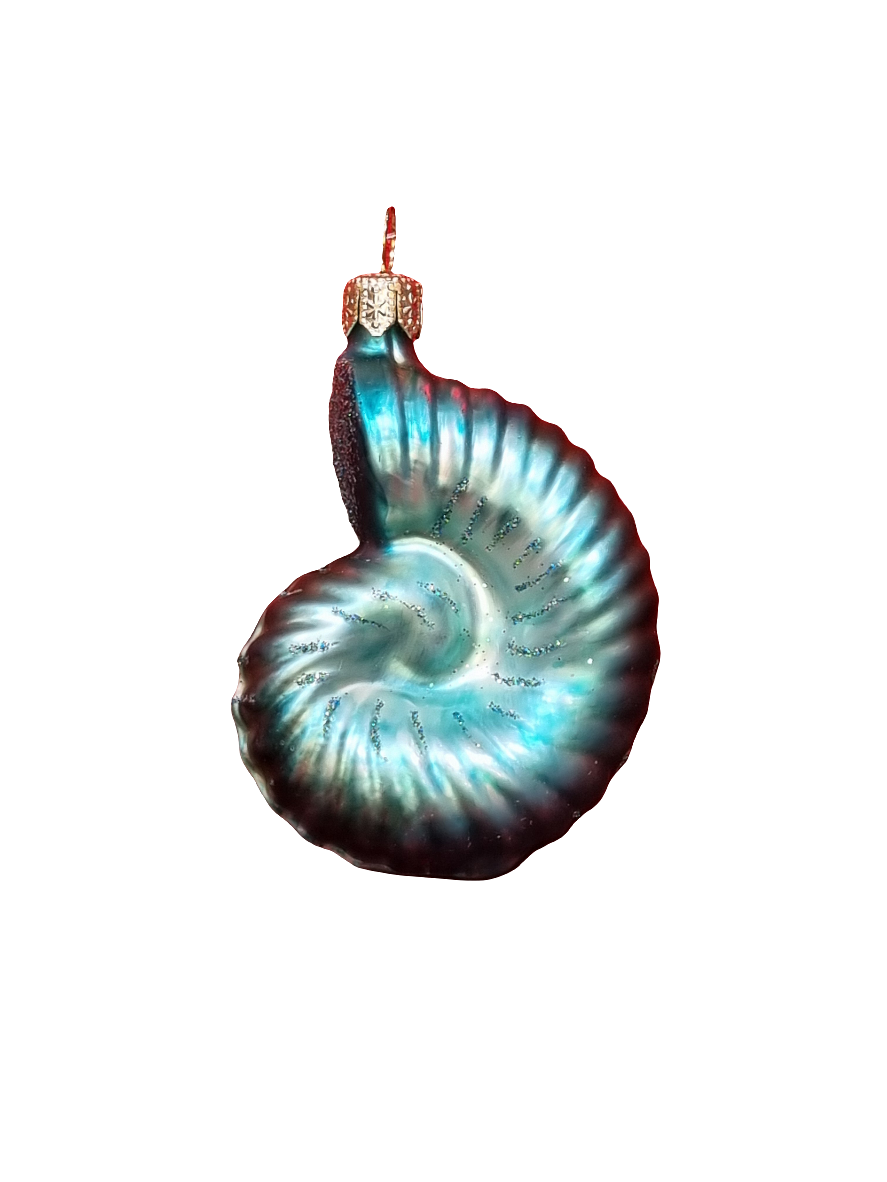 Shell | Snail (G)
