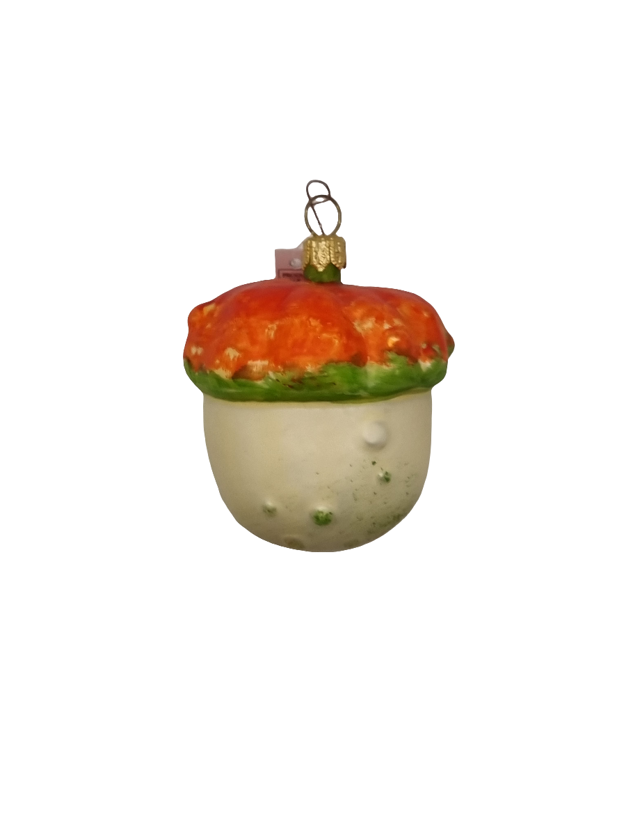 Kürbis (G)