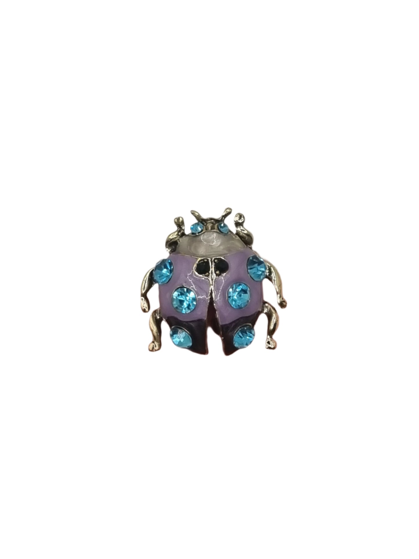European Glass Christmas ornament of a Beetle | Brooch IV