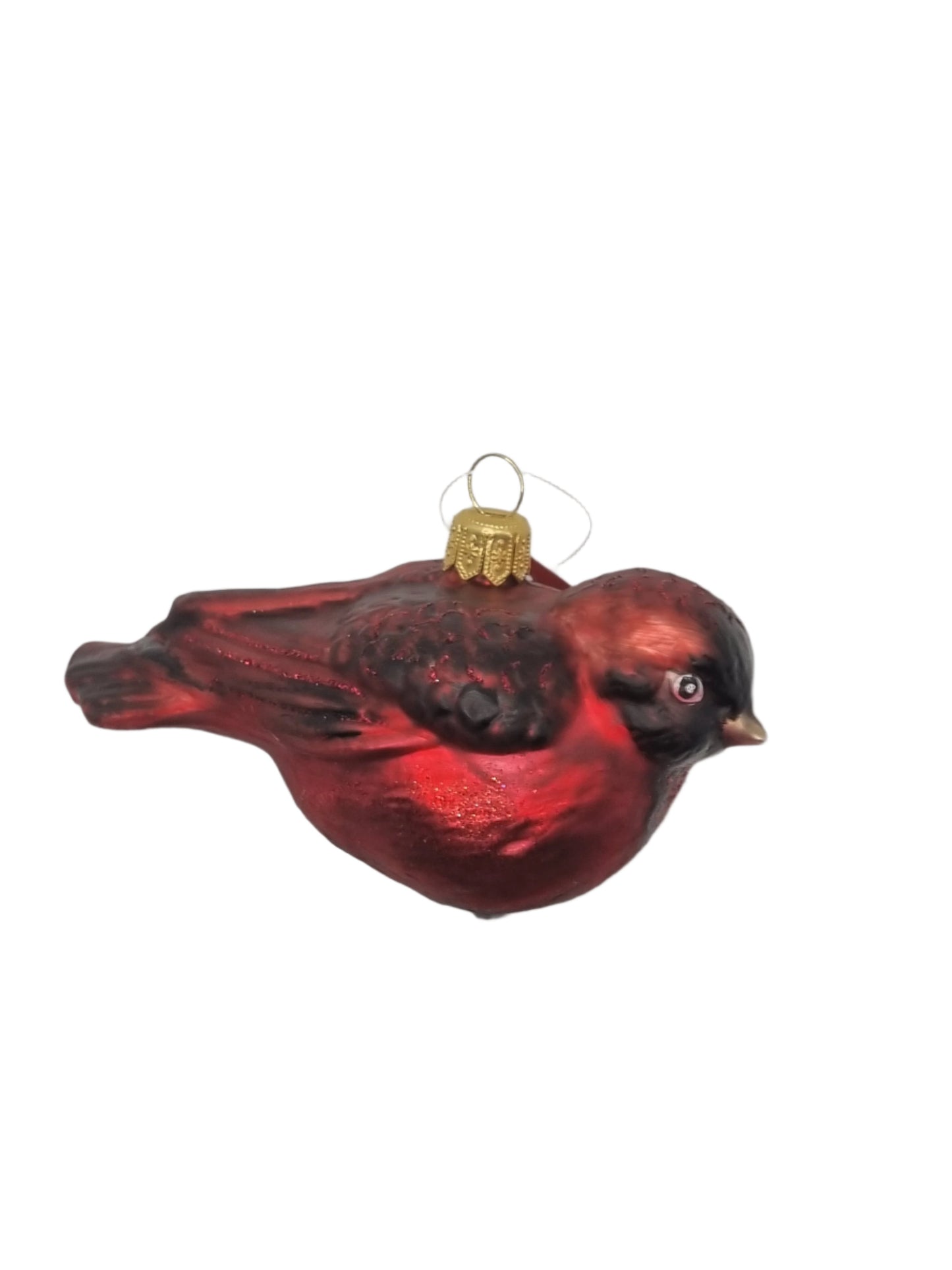 Vogel | Roter Kardinal (S)