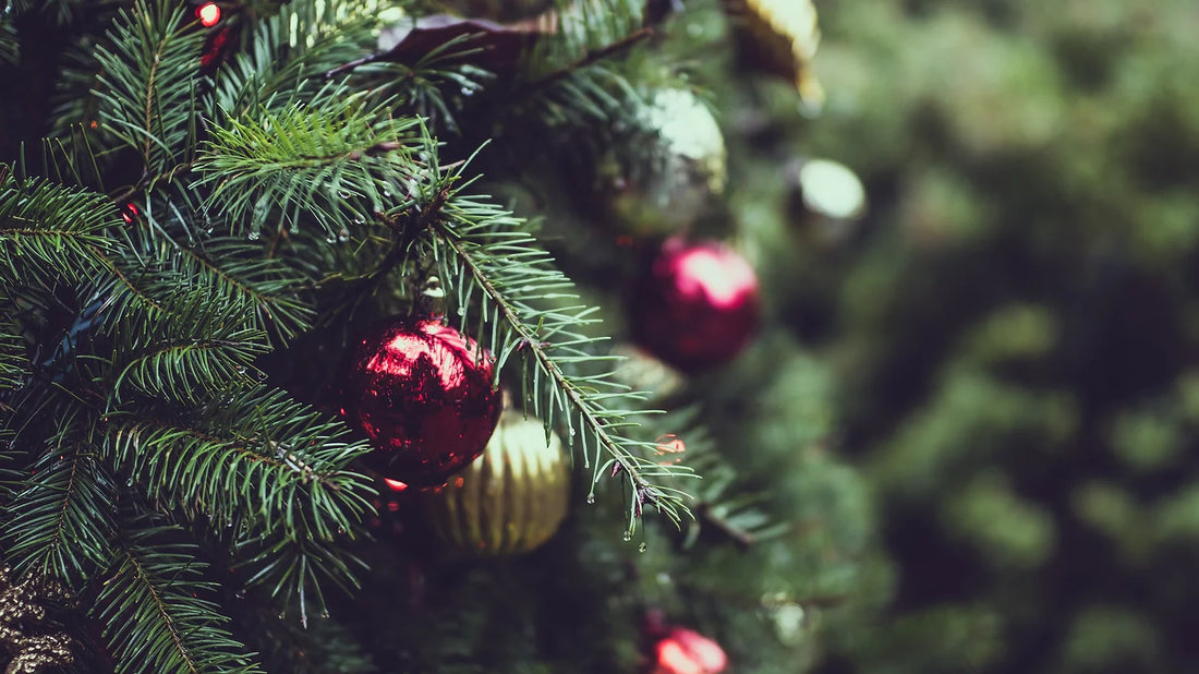 A Festive Guide to Decorating Your Christmas Tree: The Four Most Popular Styles for 2024