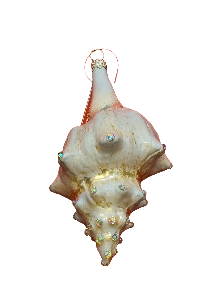 Large Conch Shell with Crystals (T)