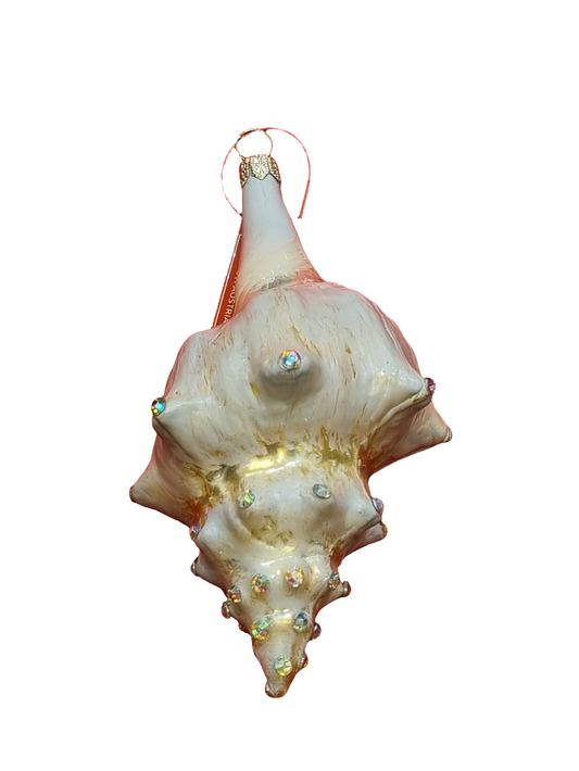 Large Conch Shell with Crystals (T)