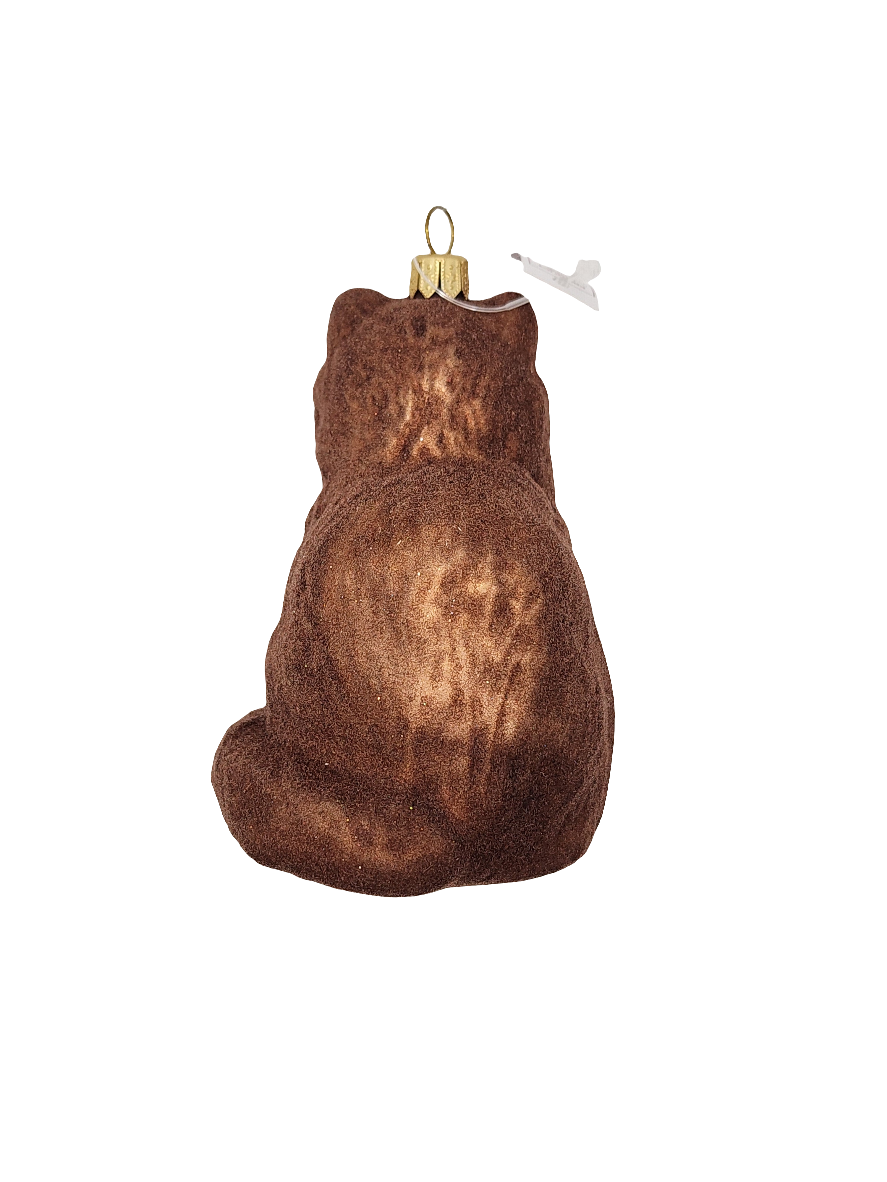 Cat large brown (T)