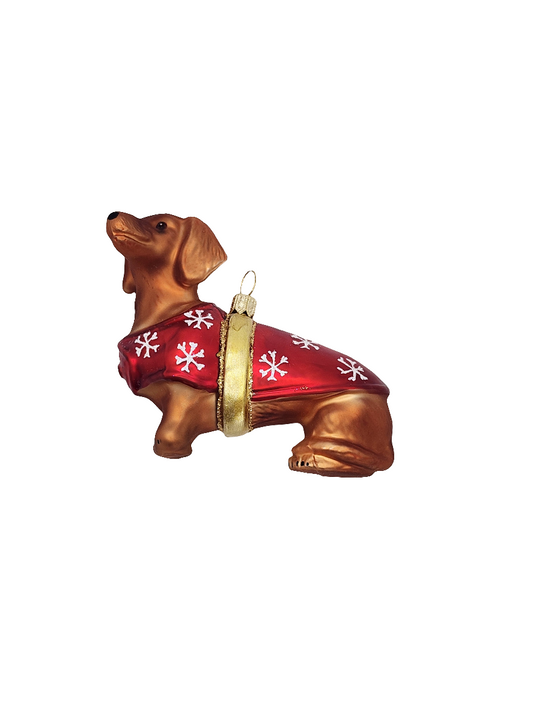 Dachshund with Jacket Sausage Dog (W)