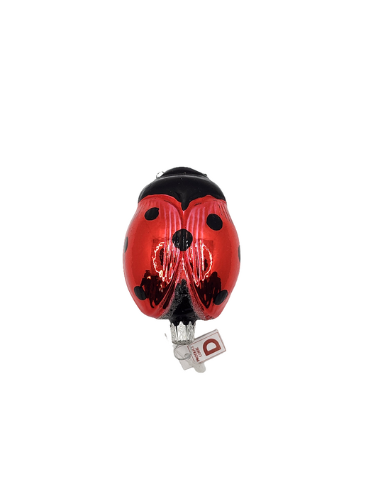 European Glass Christmas ornament of a Ladybird/Ladybug | Large (D)