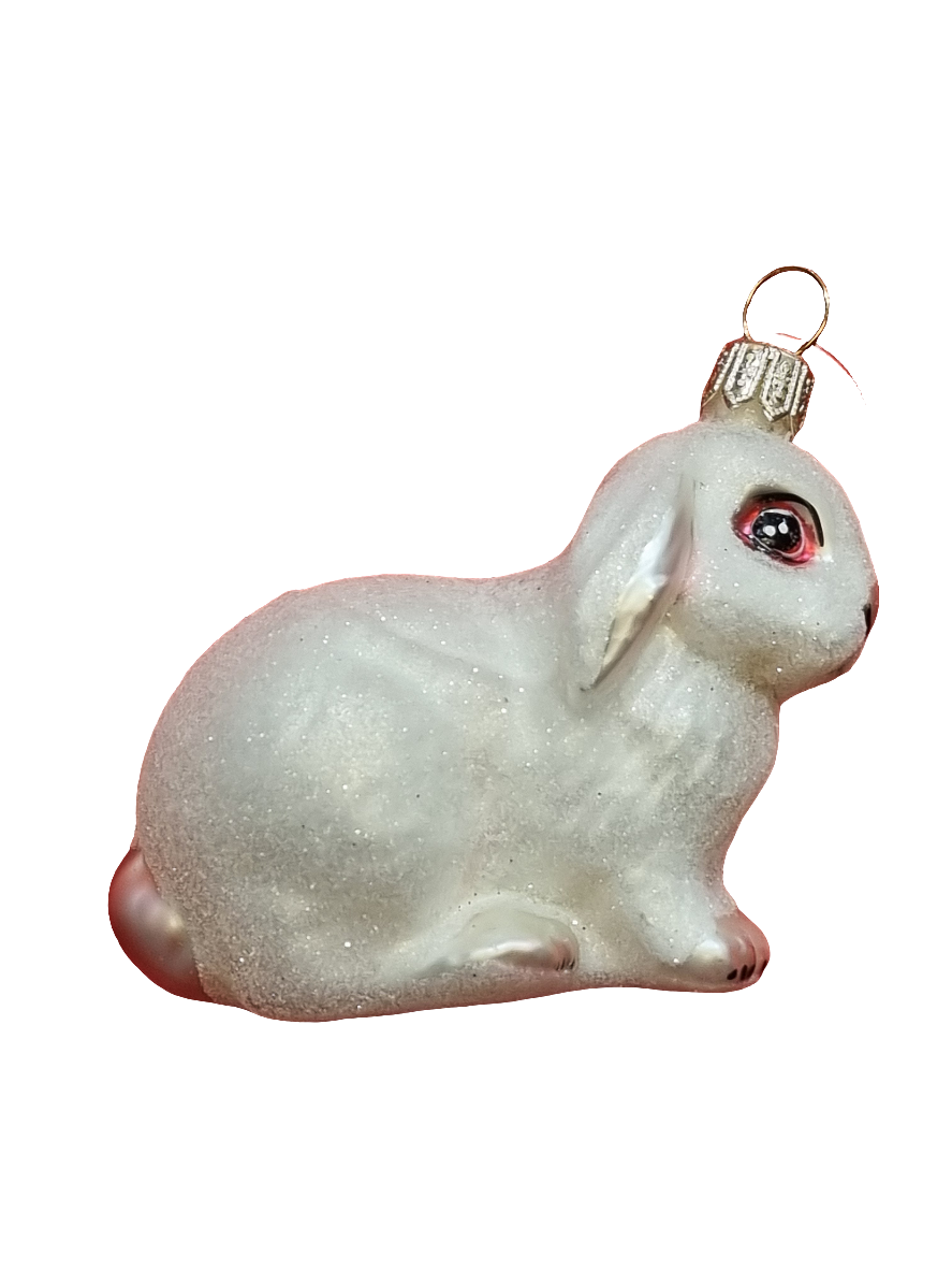 Rabbit | White Bunny (P)