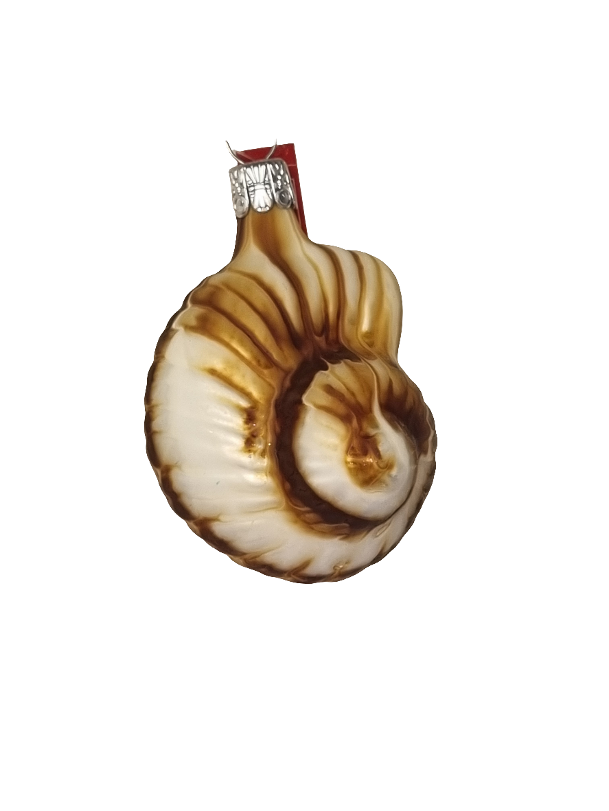 Snail Shell (C)