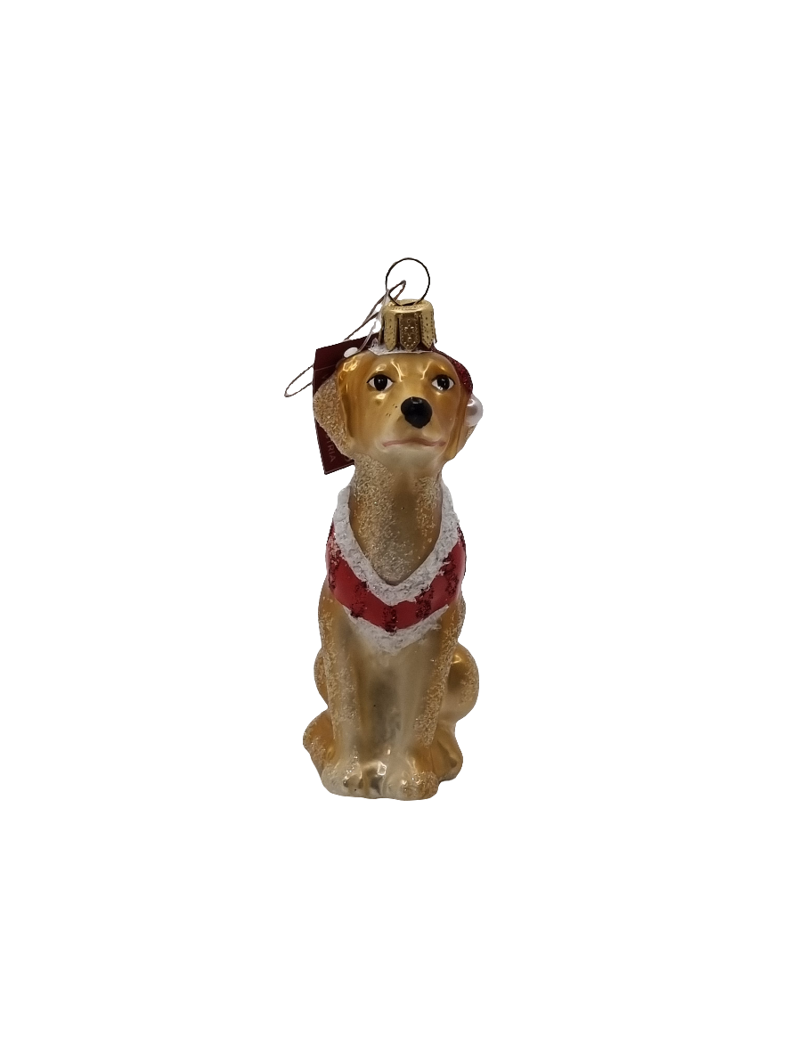 Dog Golden Labrador Christmas Jacket (R)