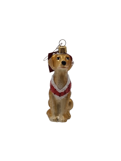 Dog Golden Labrador Christmas Jacket (R)