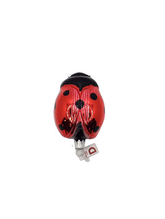 Ladybug ladybird large (I)