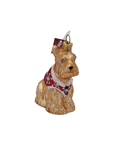 Dog Terrier in Christmas Jacket (P)