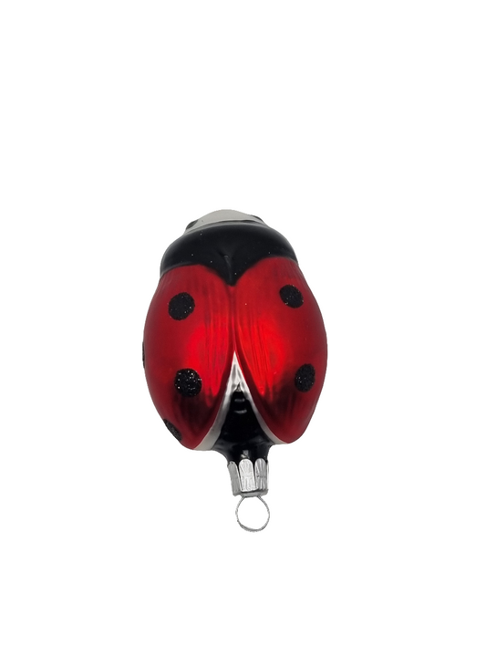 Ladybug ladybird large (E)