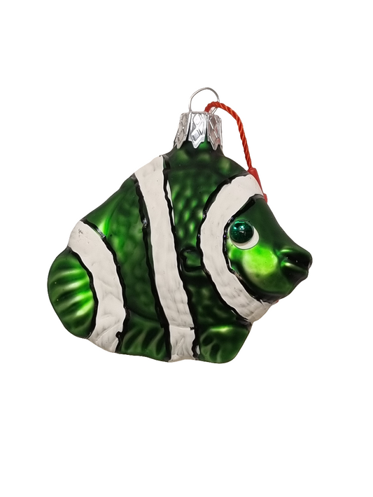 Fish | Coloured with White Stripes (F)