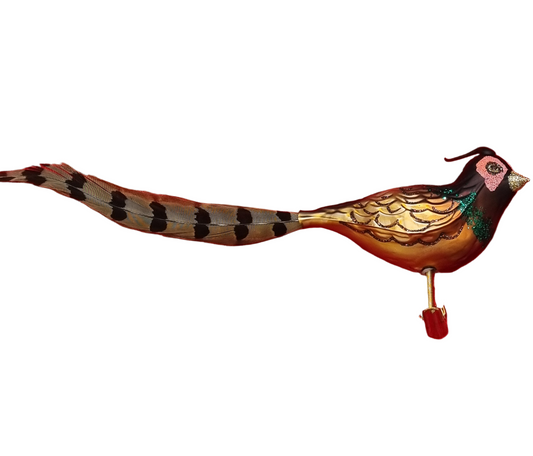Pheseant with Long Tail | Birds on Clip (N)